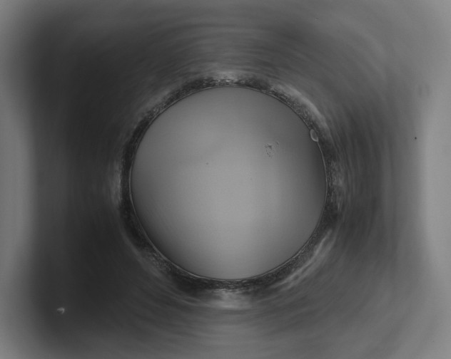 X0000102010496200808011146