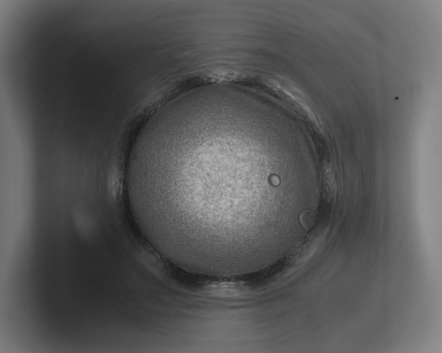 X0000102010499200808011146