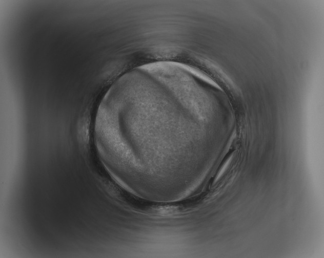 X0000102010501200808011146