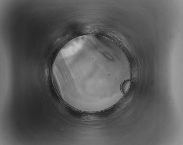 X0000102010503200808011146