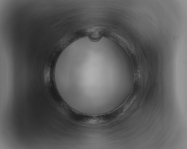 X0000102010504200808011146