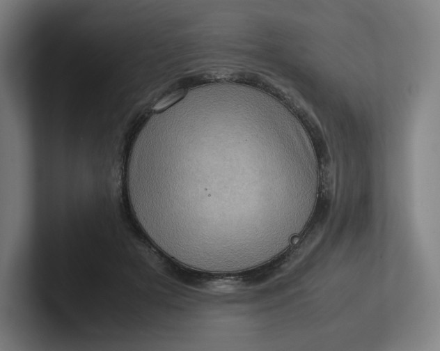 X0000102010505200808011146