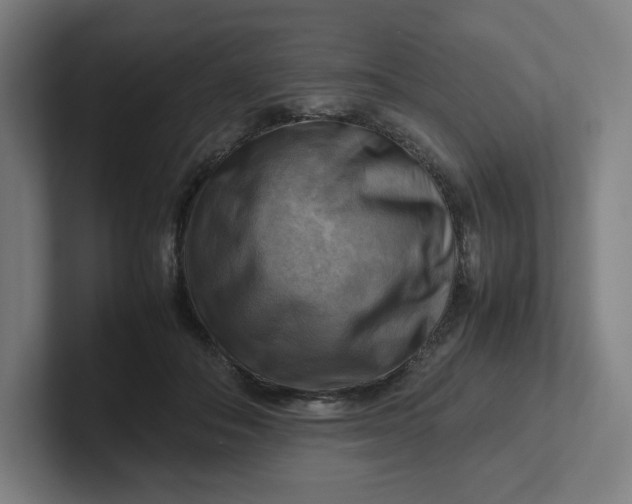 X0000102010506200808011146