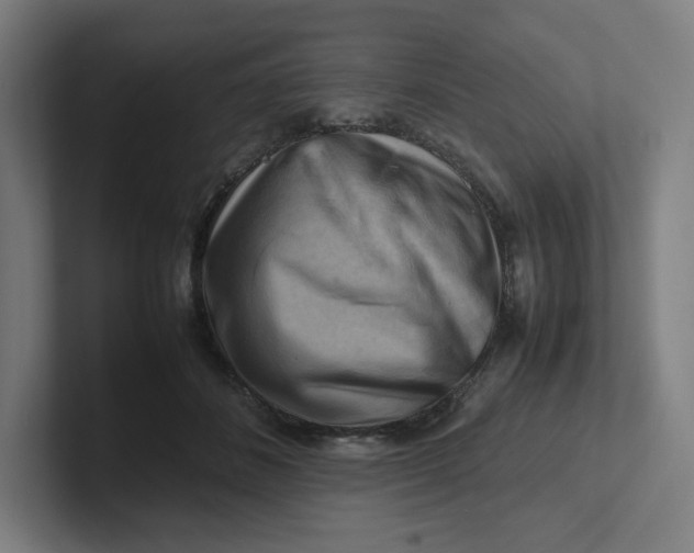 X0000102010508200808011146