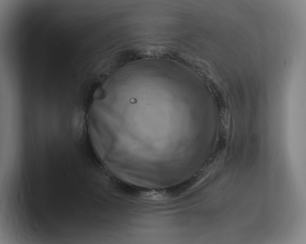 X0000102010511200808011146