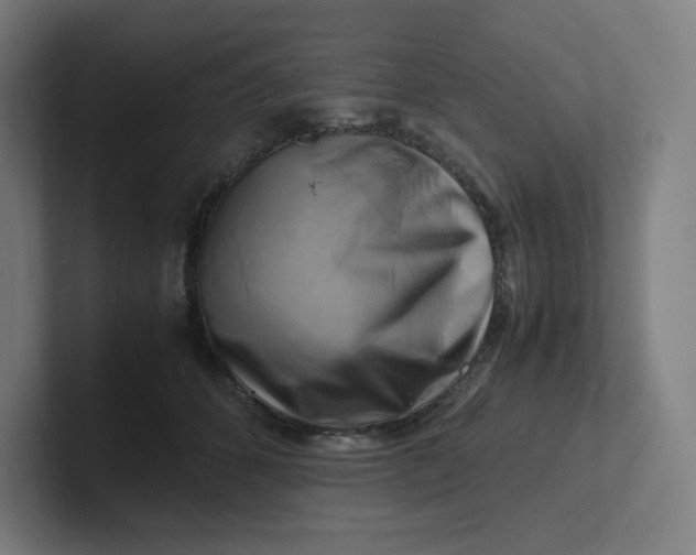 X0000102010512200808011145