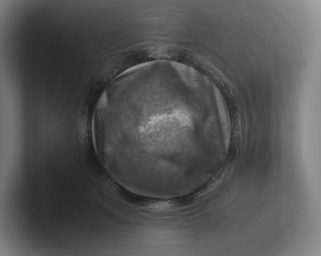 X0000102010513200808011145