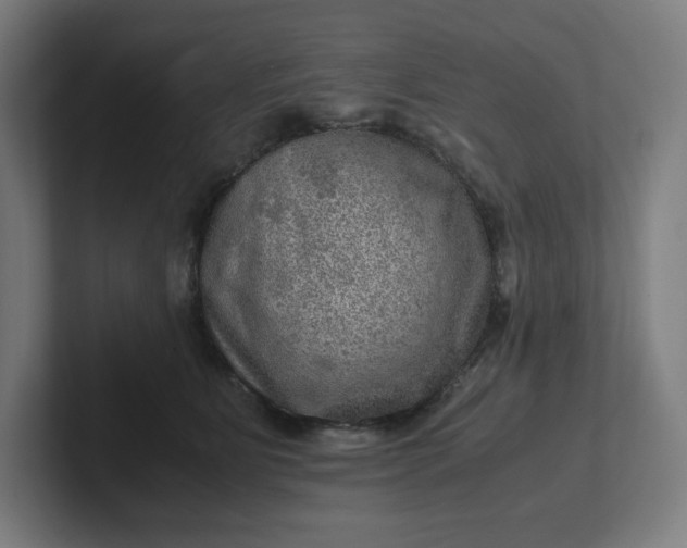 X0000102010515200808011145