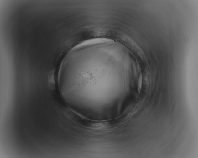 X0000102010516200808011145