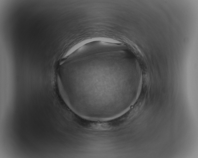 X0000102010517200808011145