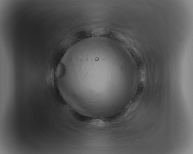 X0000102010519200808011145