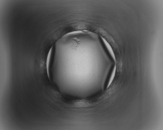 X0000102010521200808011145