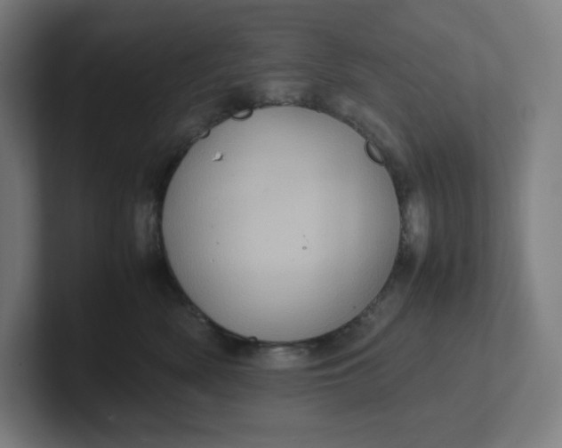 X0000102010522200808011145