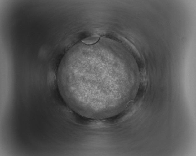 X0000102010523200808011145