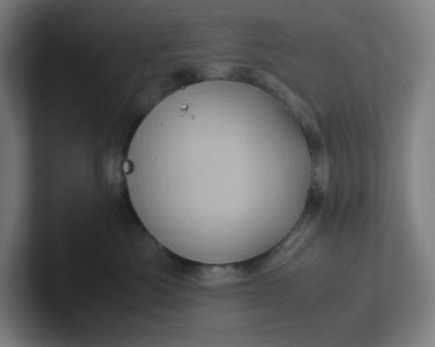 X0000102010525200808011145