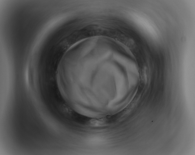 X0000102010526200808011145