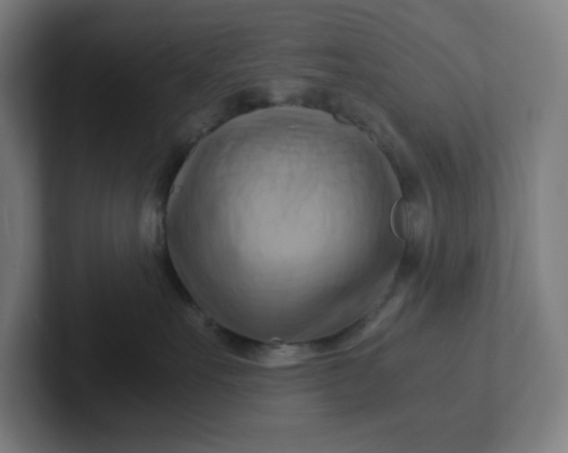 X0000102010527200808011145