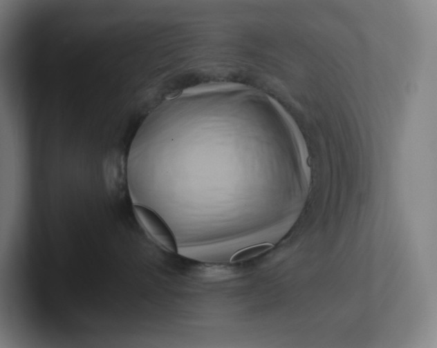 X0000102010528200808011145