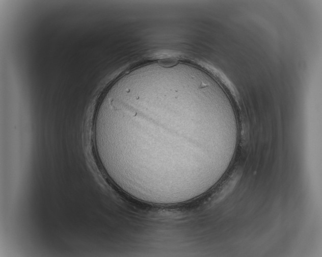 X0000102010529200808011145