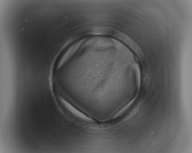 X0000102010530200808011145