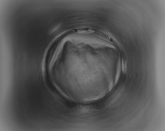 X0000102010531200808011145