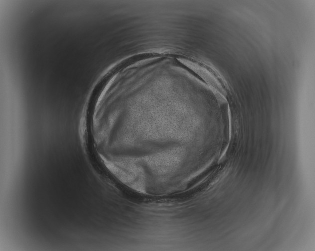 X0000102010532200808011145