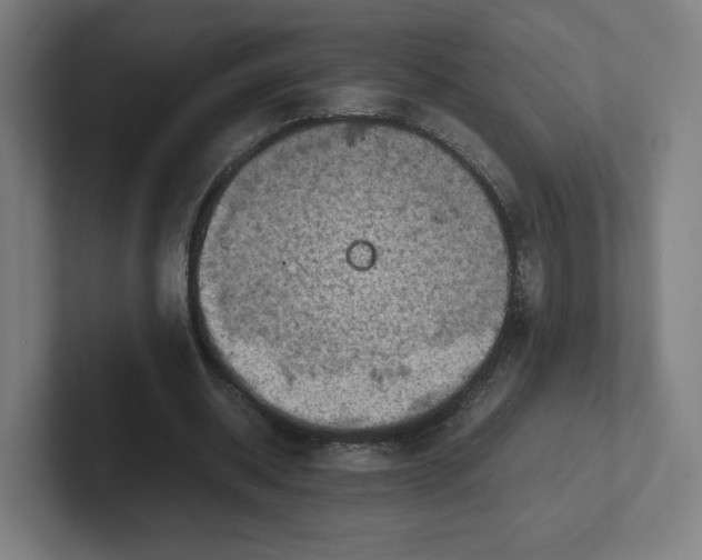 X0000102010534200808011145