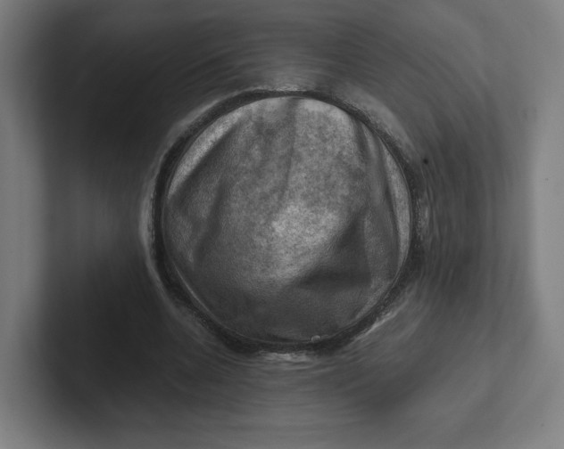 X0000102010536200808011145