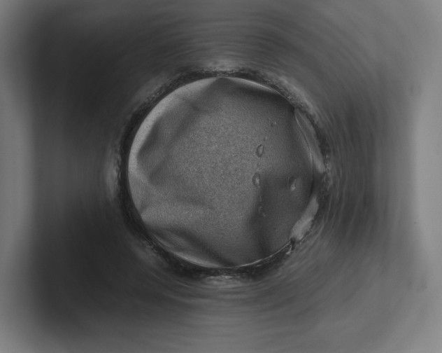 X0000102010544200808011145