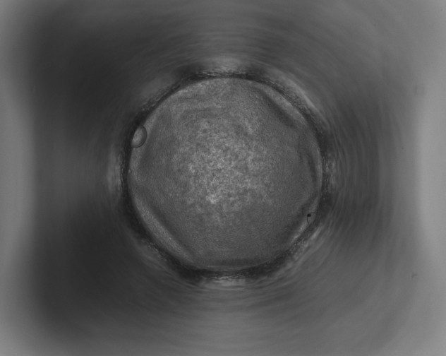 X0000102010546200808011145