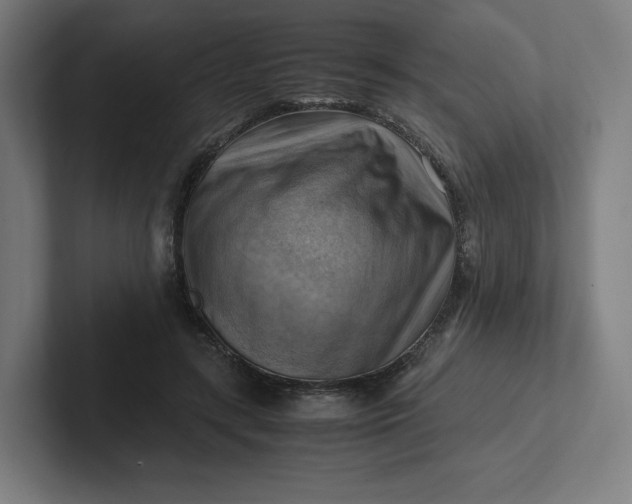 X0000102010547200808011145