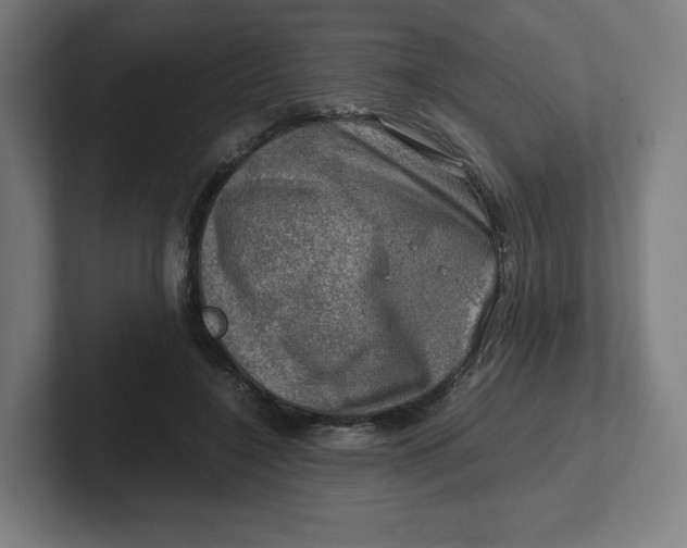 X0000102010548200808011145