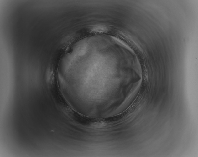 X0000102010551200808011145