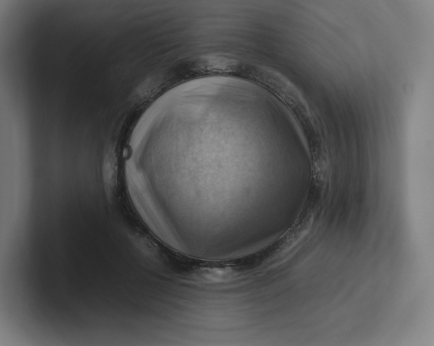 X0000102010552200808011145