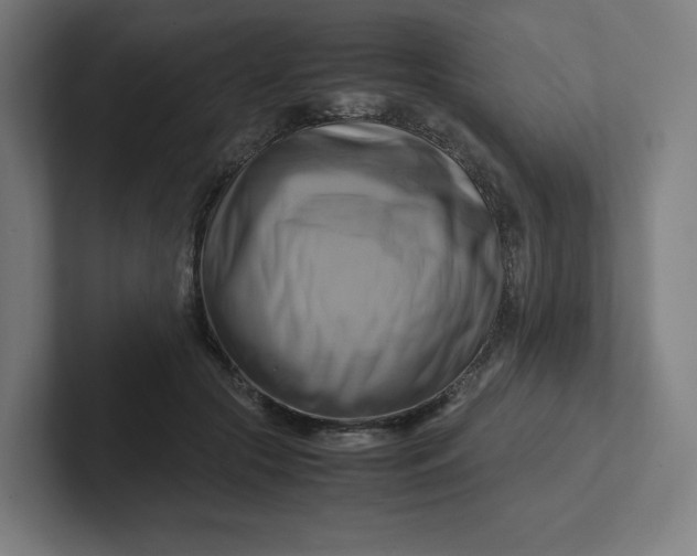 X0000102010553200808011145