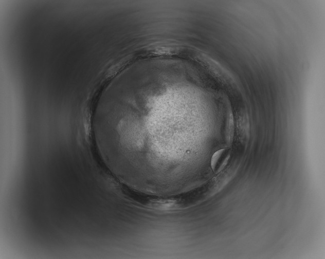 X0000102010554200808011145