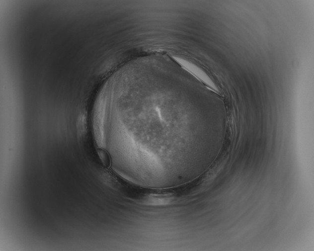 X0000102010556200808011145