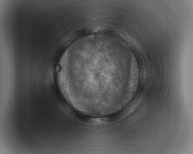 X0000102010558200808011145