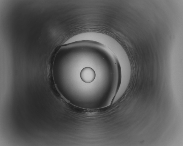 X0000102010560200808011145