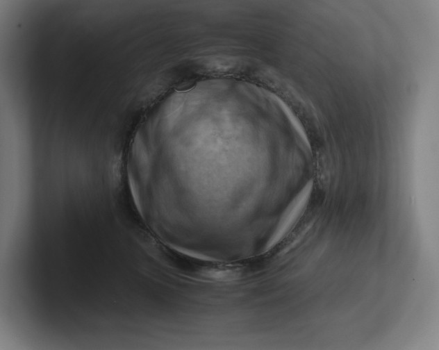 X0000102010563200808011145