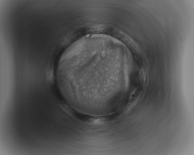 X0000102010564200808011145