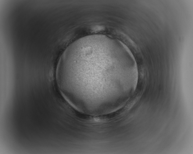 X0000102010565200808011145