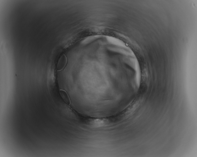 X0000102010566200808011145