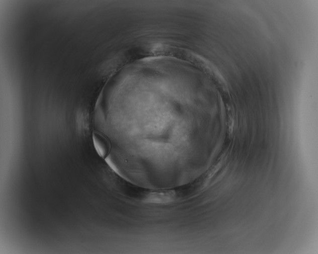 X0000102010571200808011145