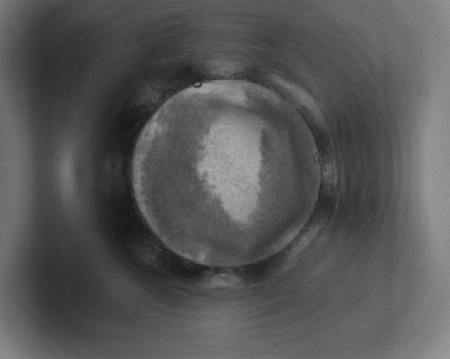 X0000102010572200808011145