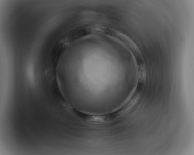 X0000102010573200808011145