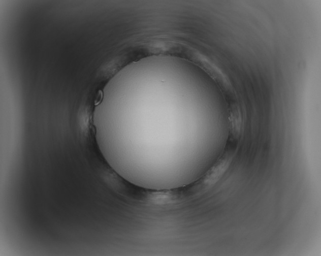 X0000102010574200808011145