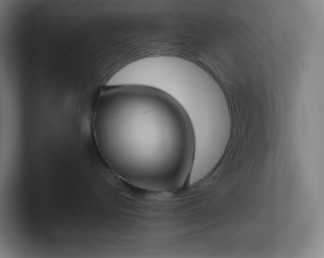 X0000102010576200808011145