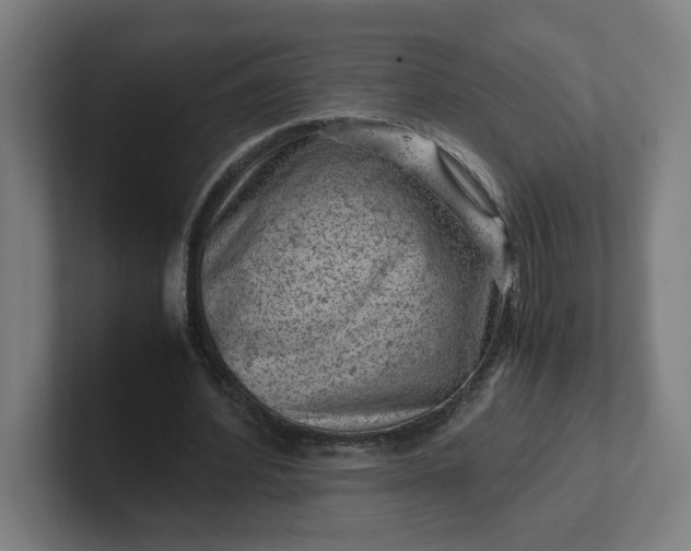 X0000102010580200808011145