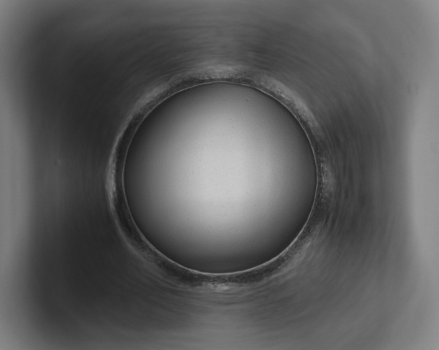 X0000102010582200808011145